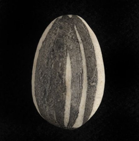 ���������� ������� ������ ������ (21 ���� + 2 �����)