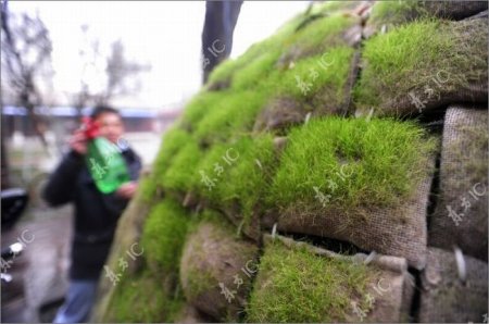 ��������� ��� ���������� �������� (23 ����)