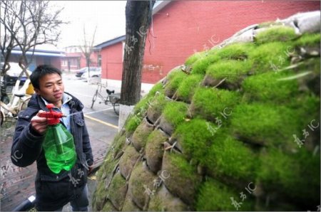 ��������� ��� ���������� �������� (23 ����)