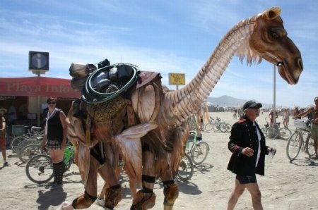  Burning Man ( ) 2010 (158  + 5 )