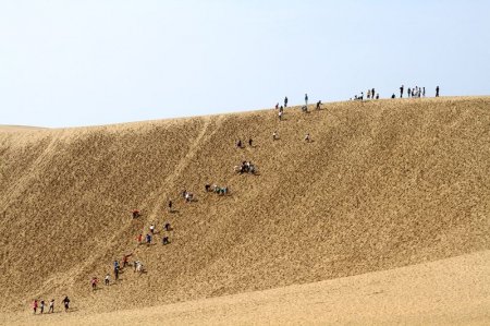   Tottori   (18   + 3 )