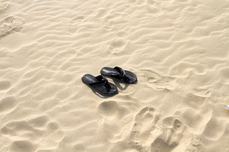   Tottori   (18   + 3 )