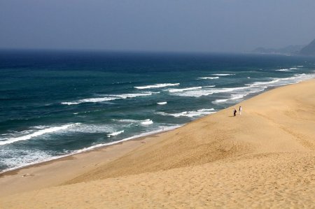   Tottori   (18   + 3 )