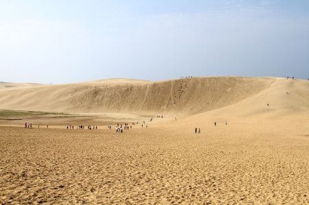   Tottori   (18   + 3 )