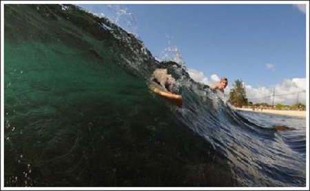   Fin  Tofu (19  + 1 )