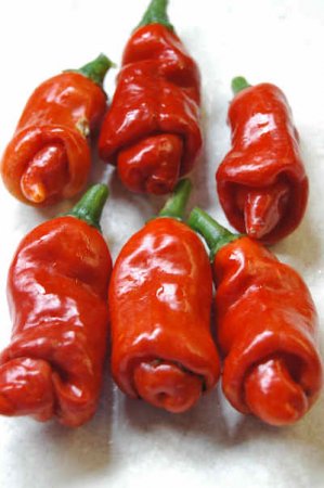  " " (Peters Peppers) (11 )