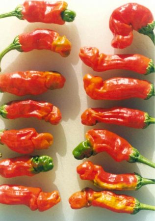  " " (Peters Peppers) (11 )