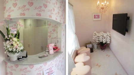 Hello Kitty    (13 )