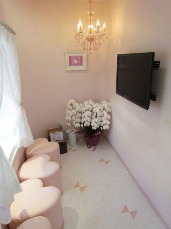 Hello Kitty    (13 )