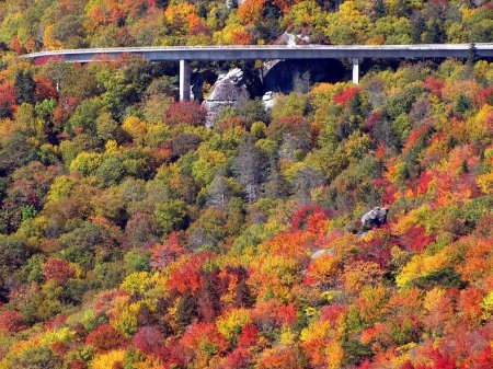    Linn Cove Viaduct (16  + 2 )