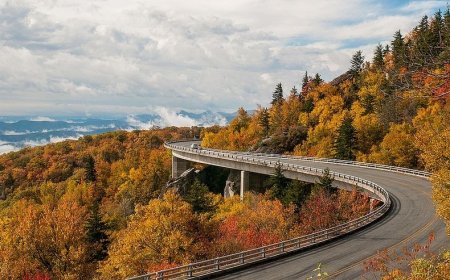     Linn Cove Viaduct (16  + 2 )