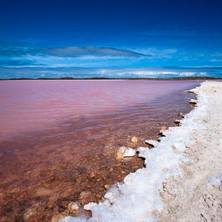 lake hillier      (12  + 1 )