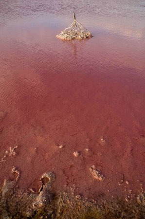 lake hillier      (12  + 1 )