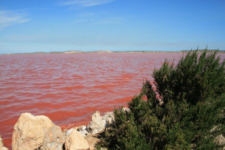 lake hillier      (12  + 1 )